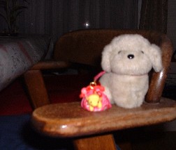 NbNĂˁ
