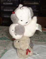 NbNĂˁ